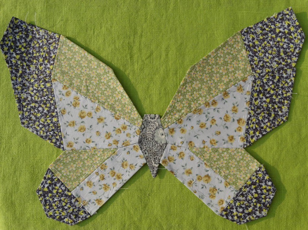 EPPbutterfly3