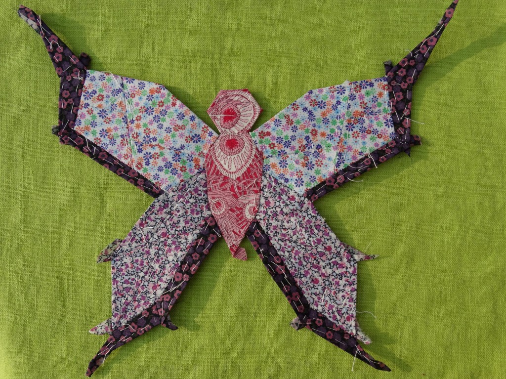 EPPbutterfly5