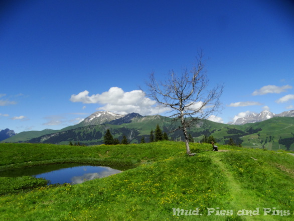 Perfect seat to rest and sew - on Betelberg, Lenk, Switzerland | Mud, Pies and Pins