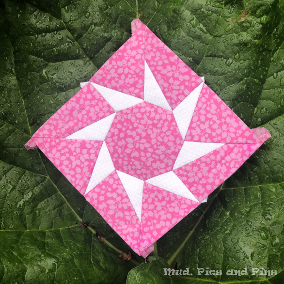 The Countdown Quilt Block 7 | Mud, Pies and Pins