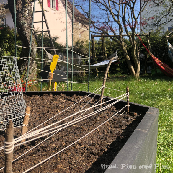 Raised vegetable beds | Mud, Pies and Pins