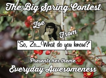 BLOGGER CherryBlossomzoe-WEB