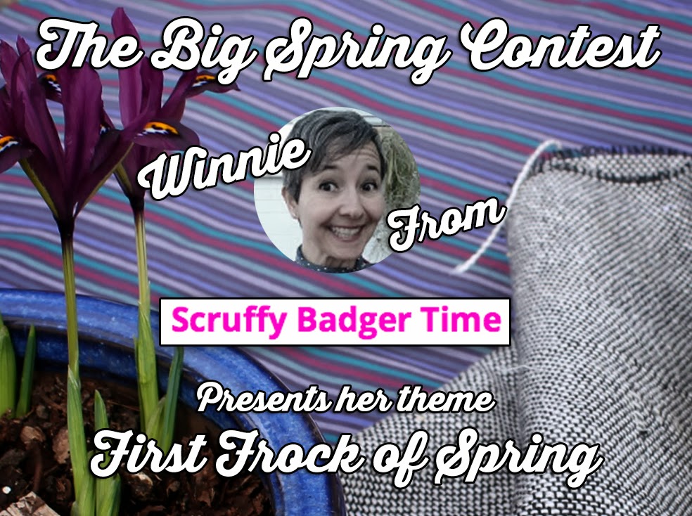 BLOGGER ScruffyBadgerWEB