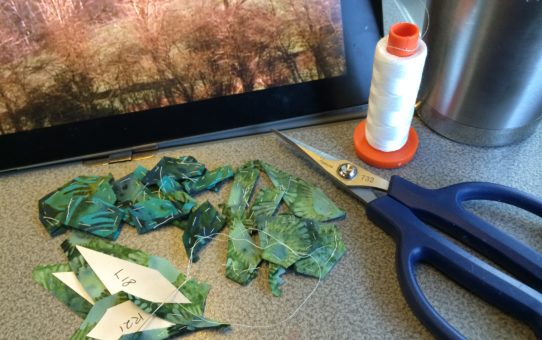 A Dragonfly in the Making