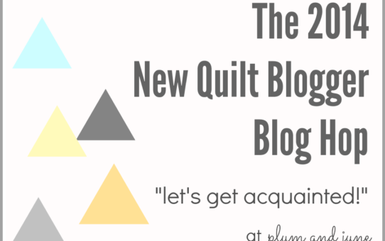 Blog Hopping with Plum and June