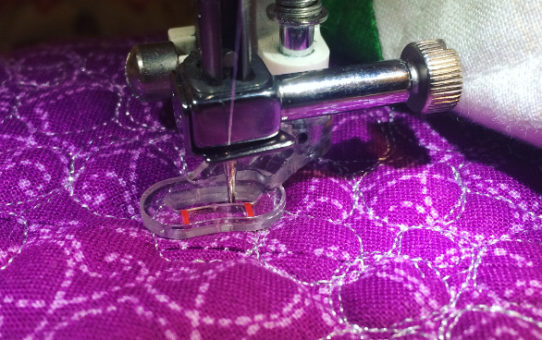 Poinsettia Pattern Testing