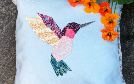 EPP Grows Wings Again - Introducing the EPP Hummingbird