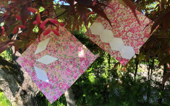 The Countdown Quilt - Week 2