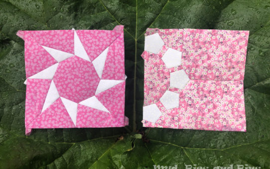 The Countdown Quilt - Week 4